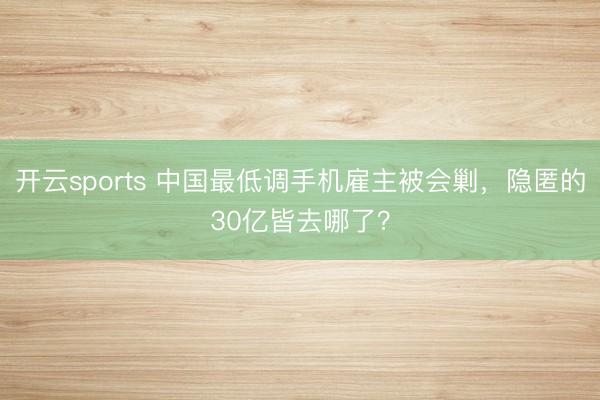 开云sports 中国最低调手机雇主被会剿，隐匿的30亿皆去哪了？