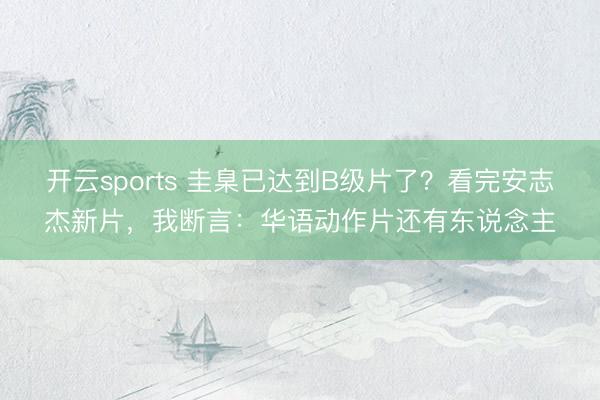 开云sports 圭臬已达到B级片了？看完安志杰新片，我断言：华语动作片还有东说念主