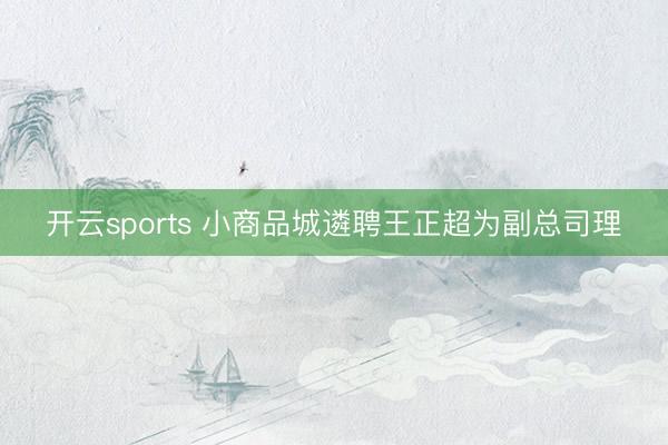 开云sports 小商品城遴聘王正超为副总司理