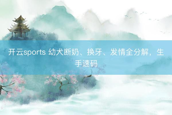 开云sports 幼犬断奶、换牙、发情全分解，生手速码