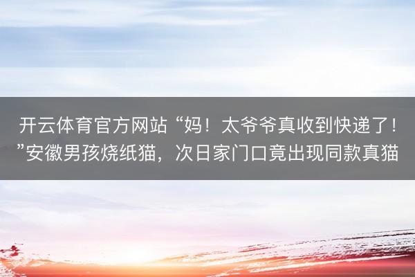 开云体育官方网站 “妈！太爷爷真收到快递了！”安徽男孩烧纸猫，次日家门口竟出现同款真猫