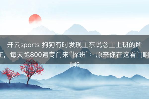 开云sports 狗狗有时发现主东说念主上班的所在，每天跑800遍专门来“探班”：原来你在这看门啊？